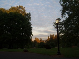 morning cloud of portland