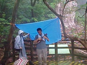 縄文杉でウクレレライブ